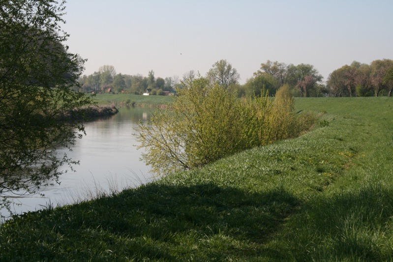 Zatáčka Moravy u Babic (Foto Zdeněk Paroulek)